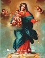 Nuestra Señora del Rosario: Patrona de las Batallas